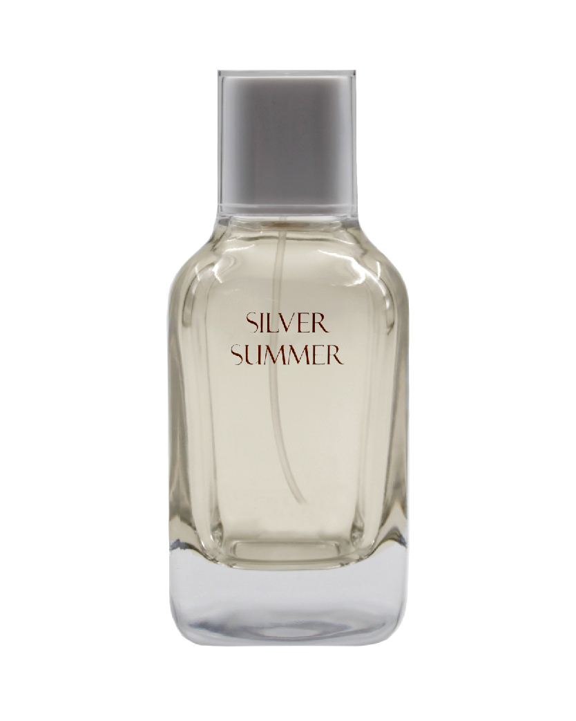 Zara Silver Summer for Men